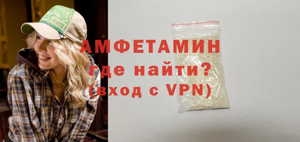 стаф Осинники