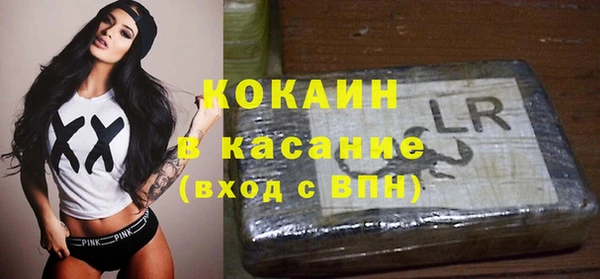 соль ск Абаза