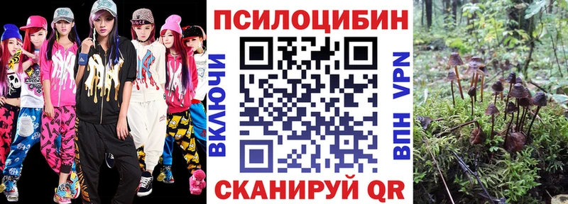 Псилоцибиновые грибы мухоморы  площадка наркотические препараты  mega маркетплейс  Раменское  купить наркотики сайты 