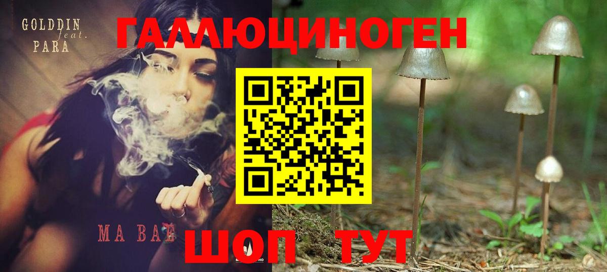 Галлюциногенные грибы GOLDEN TEACHER Раменское