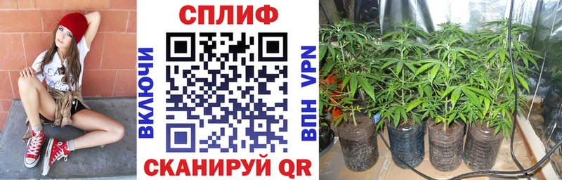 блэк спрут ONION  Раменское  Каннабис MAZAR 